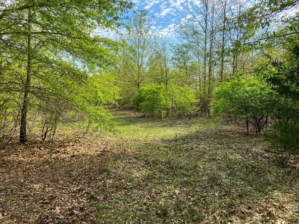 Farris 115 Timber: 00 CR 2215, Daingerfield, TX 75638
